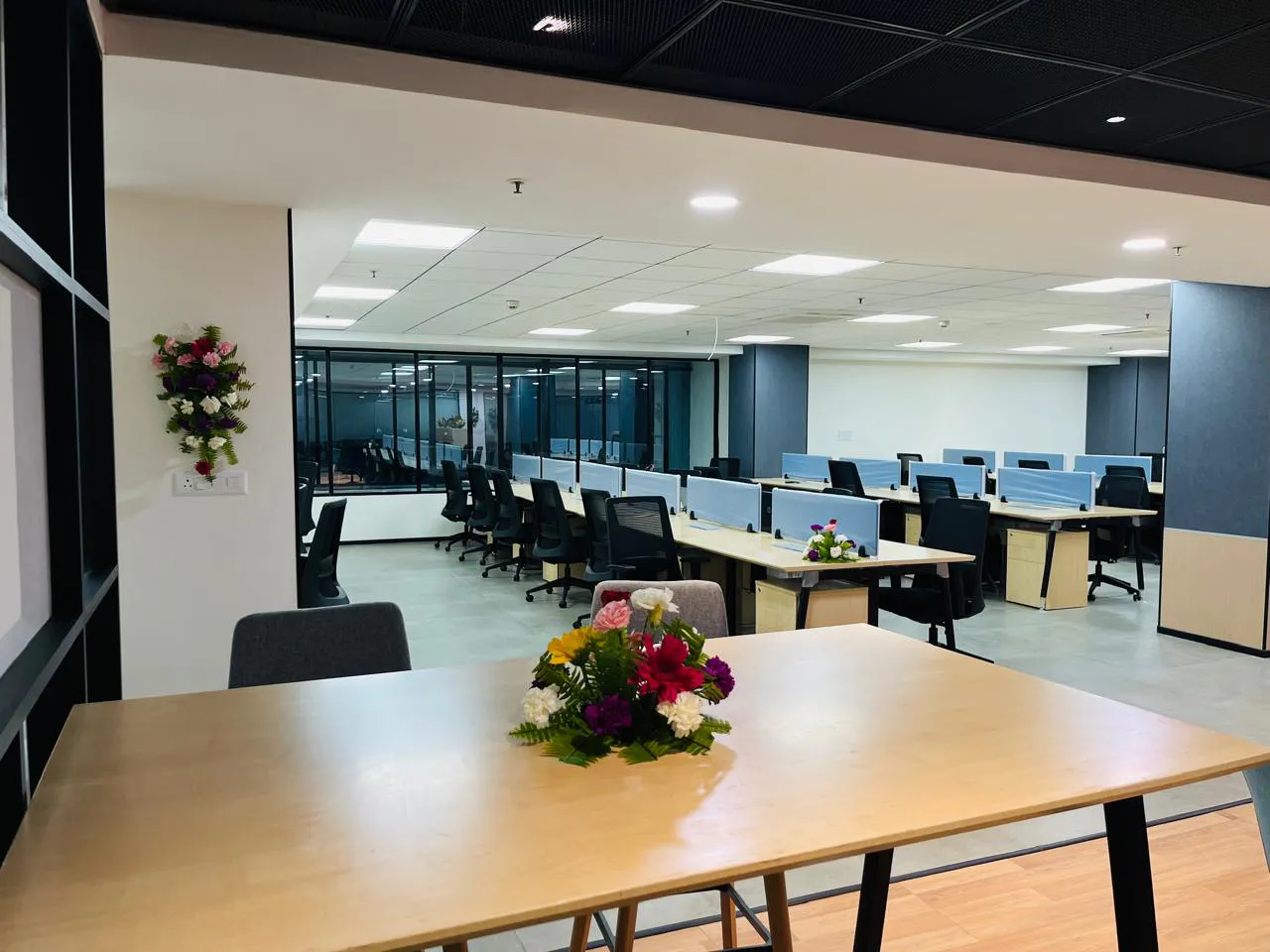 TVS portfolio photo 3