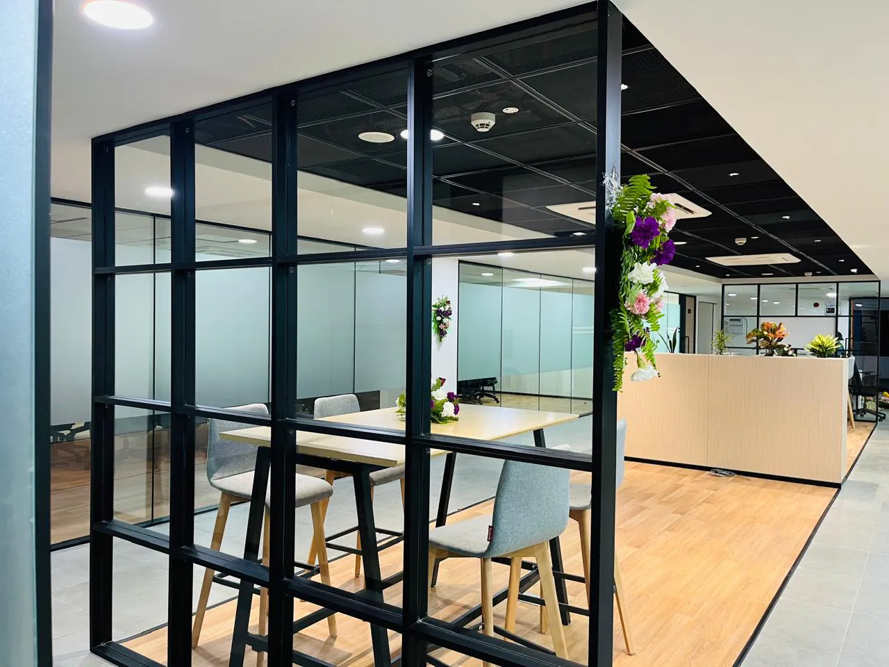 TVS portfolio photo 5