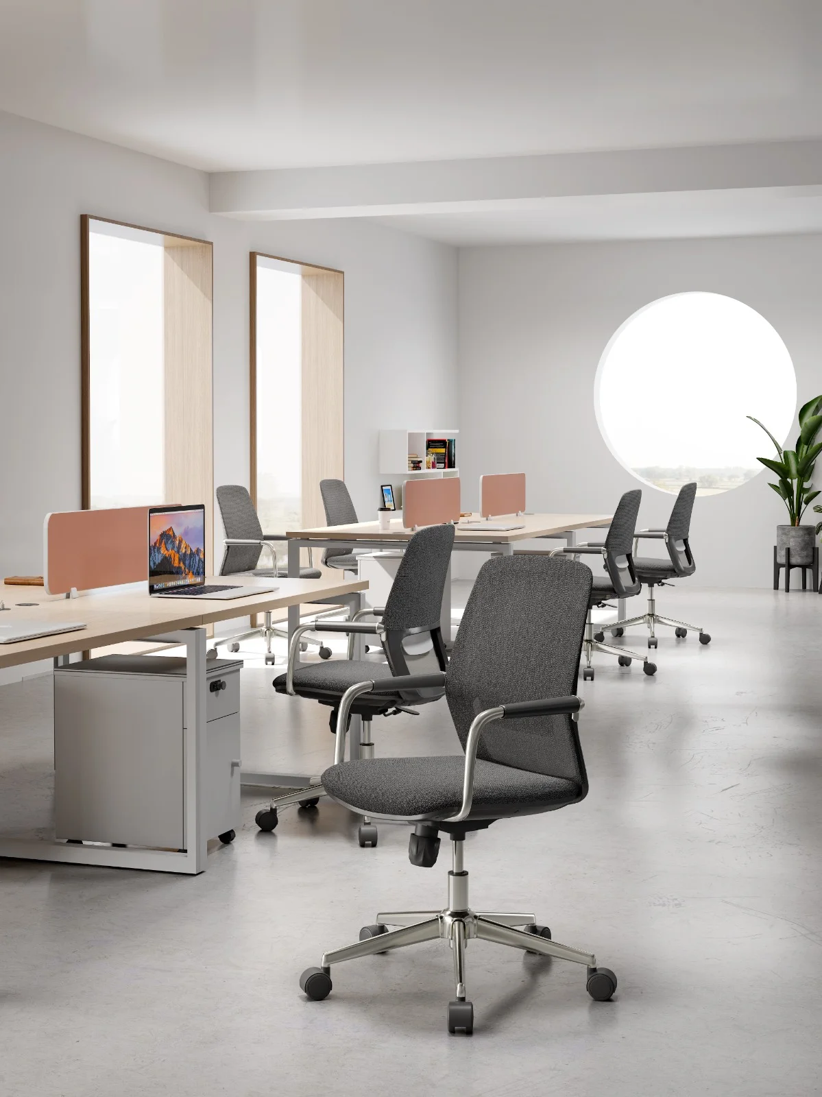 Gallery image 11 of Flex