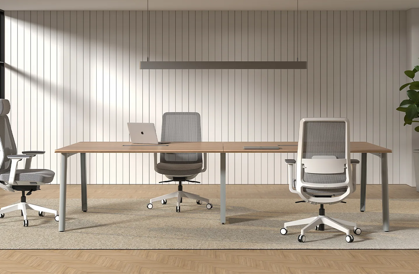 Primary product gallery image of Curvivo