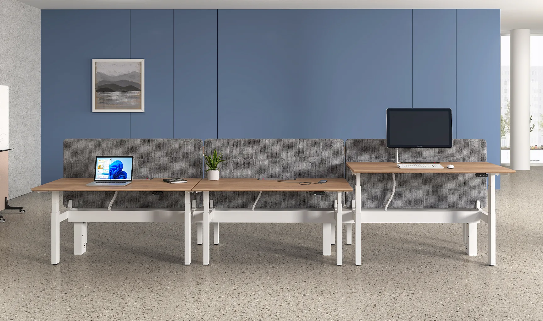 Gallery image 7 of Adaptable